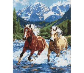 Алмазна мозаїка "Сила у русі" 40х50 см