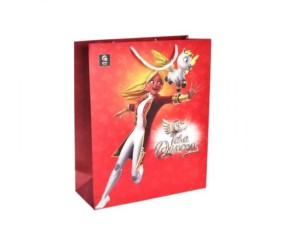 Пакет паперовий M "Тара Данкан" р.27x33x11 см