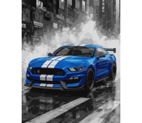 Картина за номерами - "Сині перегони" ©art_selena_ua, 40х50см