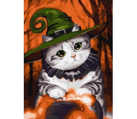 Картина за номерами - Котик-чарівник 30х40