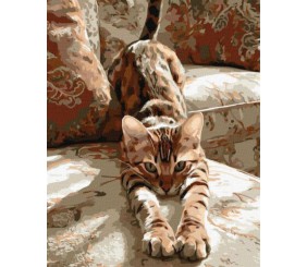 Картина за номерами - Ранкова розминка 40х50 см.