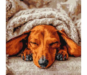 Картина за номерами - Солодкий спокій 40х40 см.