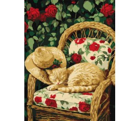 Картина за номерами - Кіт у саду 30х40 см.