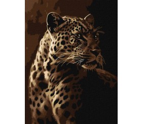Картина за номерами - Погляд леопарда 30х40 см.