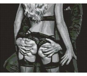 Алмазна мозаїка - "Тепло пристрасті", 40х50см