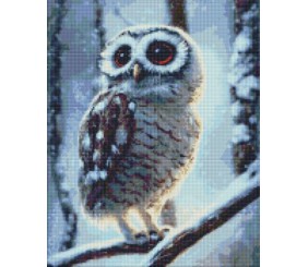 Алмазна мозаїка - "Диво-сова" ©Neag Mircea Marius, 40х50см