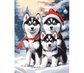Картина по номерах "Хаскі в снігу" 30х40 см