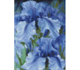 Алмазна мозаїка - "Блакитні іриси" ©Юлія Томеско, 30х40см