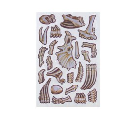 Стікербук за формами Moxy Dinosaur Expedition «Dino 2»