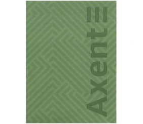Книга записна А4-, 203*273 мм,96арк., кліт., Pattern, зелена